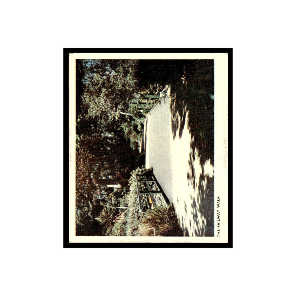 The Railway Walk 1968 Virginia Cigarettes Around About in Jersey #12 VG
