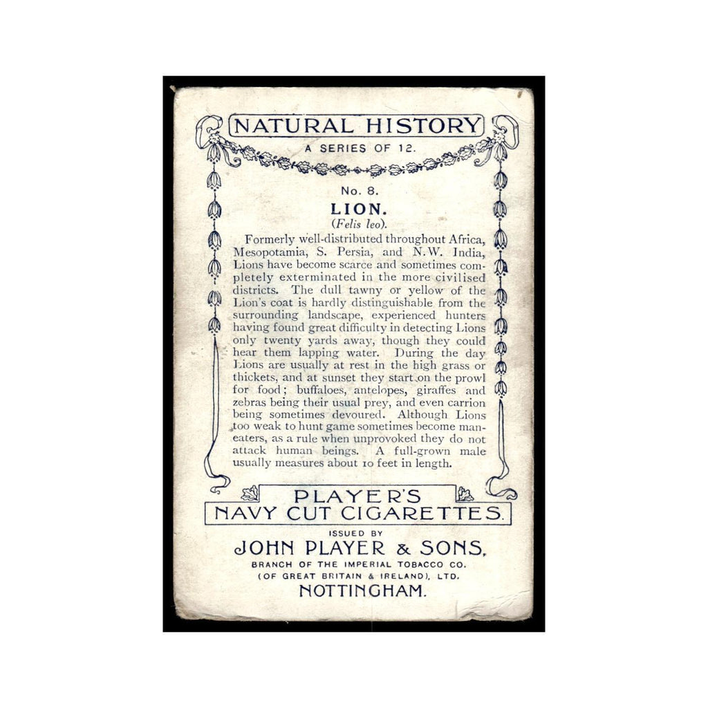 Lion 1923 Players Cigarettes Natural History #8 Tobacco Card VG
