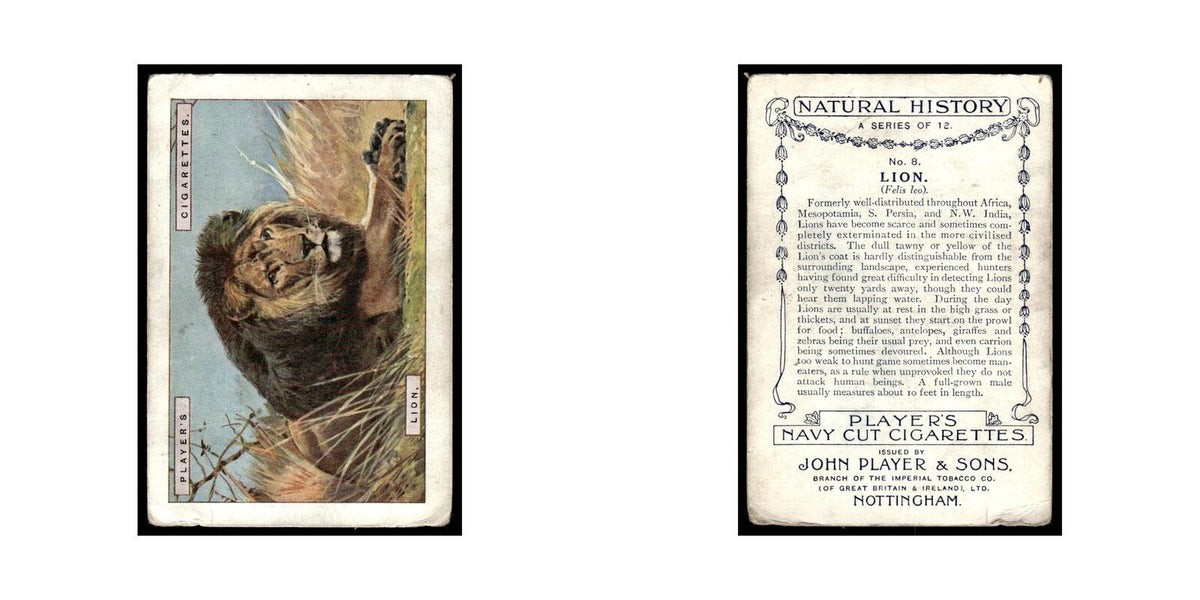 Lion 1923 Players Cigarettes Natural History #8 Tobacco Card VG