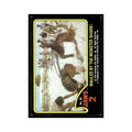 Mauled By The Monster Shark 1978 Universal Jaws 2 #50 Trading Card VG