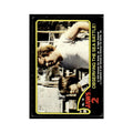 Observing The Sea Battle 1978 Universal Jaws 2 #18 Trading Card VG