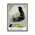 Brood of the Insectoids 1978 Battlestar Galactica #75 Trading Card VG