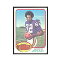 Jim Lash 1976 Topps #271 Minnesota Vikings Football Card EX