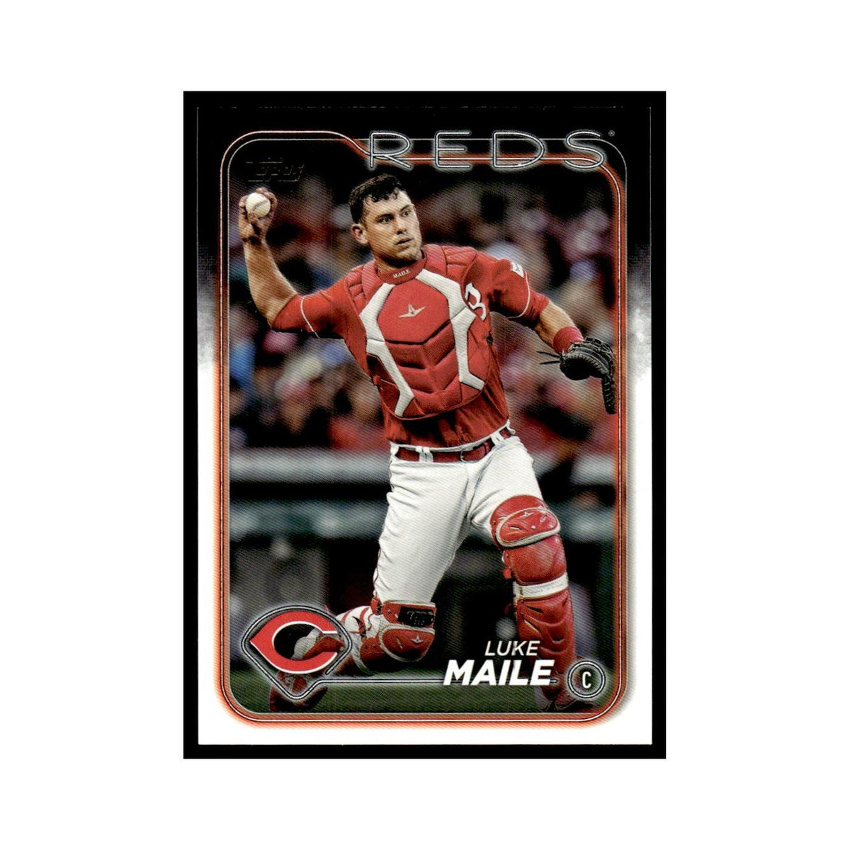 Luke Maile 2024 Topps Update #US167 Cincinnati Reds Baseball Card NM