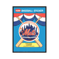 Team History 1989 Fleer Exciting Stars #nan New York Mets Baseball Card NM