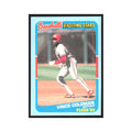 Vince Coleman 1989 Fleer Exciting Stars #7.0 St. Louis Cardinals NM
