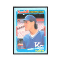 Mark Gubicza 1989 Fleer Exciting Stars #19.0 Kansas City Royals Baseball Card NM