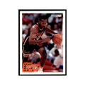 1993 Fleer Brian Shaw Cards #112
