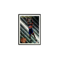 1993 Fleer Cedric Ceballos Cards #222