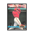 1991 Stadium Club Felix Jose Cardinals #366