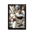 Roy White 1992 Action Packed All-Star Gallery #34 New York Yankees NM
