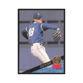 1993 Leaf Dan Plesac Cubs #388