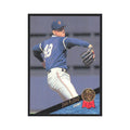 1993 Leaf Dan Plesac Cubs #388