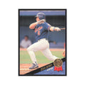 1993 Leaf Sean Berry Montreal Expos #336