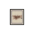Minnesota Twins 1988 Sportflics Mini Team Logo Trivia #62 Baseball Card NM
