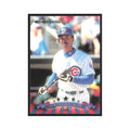 1998 Donruss Henry Rodriguez Cubs #228