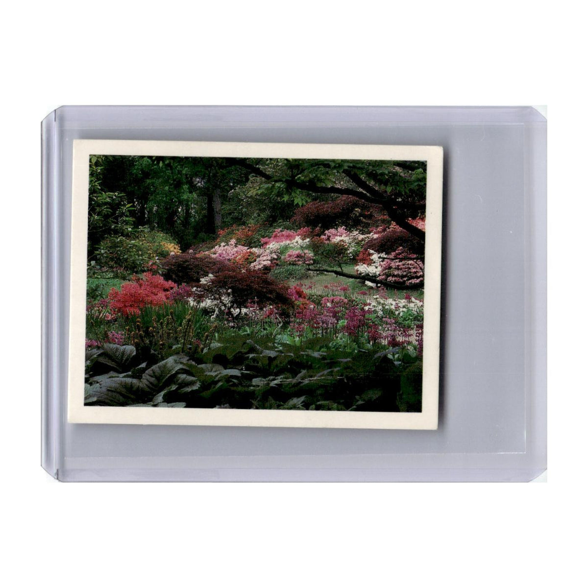 Exbury Gardens 1988 Kellogg's Gardens To Visit #2 NM