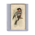 Bullfinch 1980 Grandee British Birds Collection #32 EX
