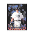 1998 Donruss Joe Randa Tigers #227