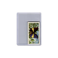 Anaea Panariste 1963 Brooke Bond Tea British Butterflies #37 EX