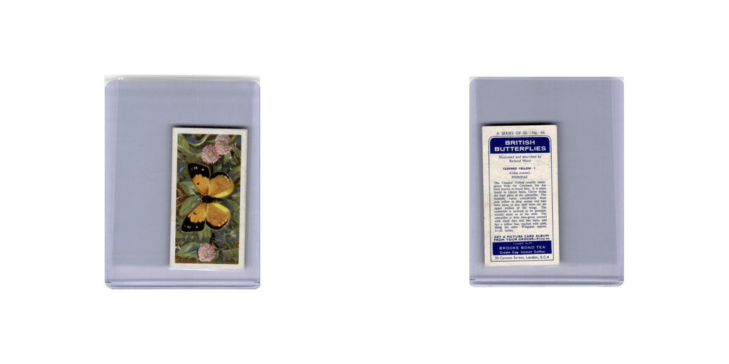 Clouded Yellow 1963 Brooke Bond Tea British Butterflies #44 EX