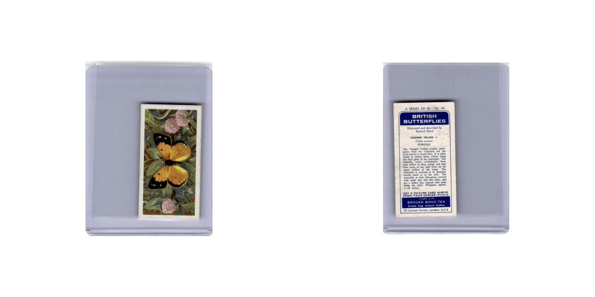 Clouded Yellow 1963 Brooke Bond Tea British Butterflies #44 EX