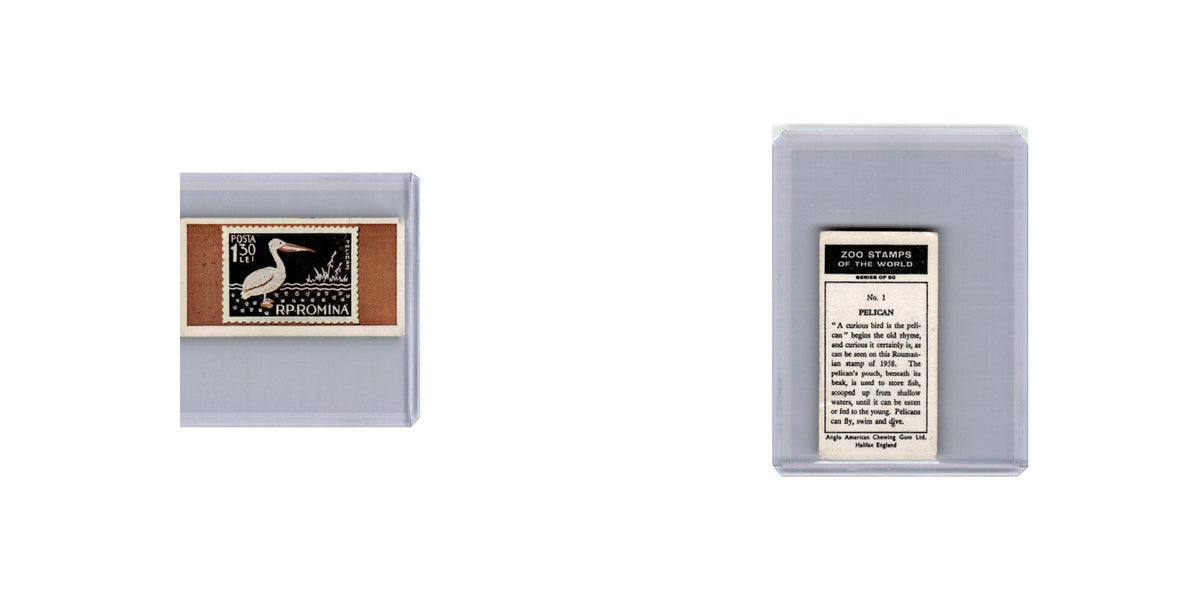 Pelican 1966 Anglo American Chewing Gum Zoo Stamps #1 EX