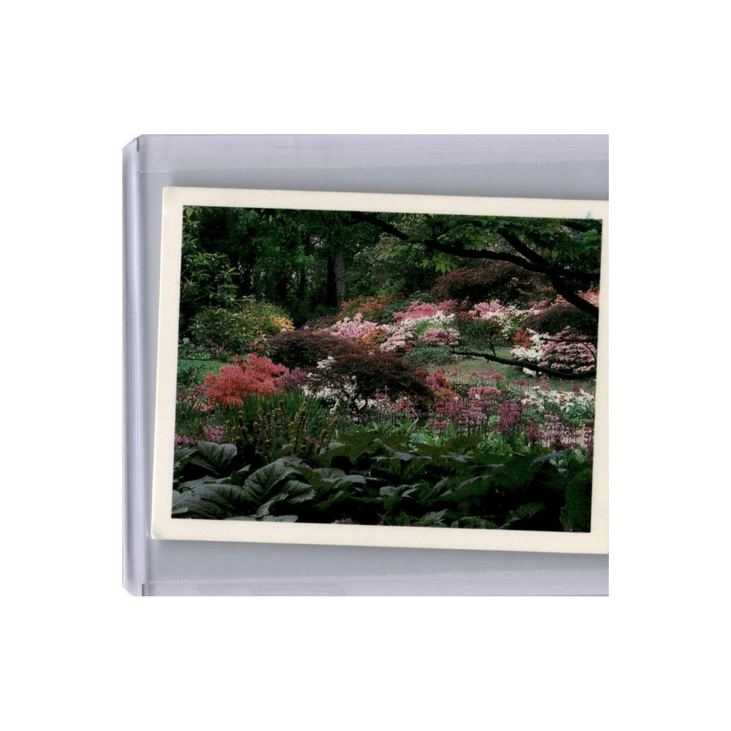 Exbury Gardens 1988 Kellogg's Gardens to Visit #2.0 EX