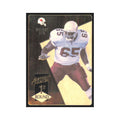 1993 Action Packed Ernest Dye Phoenix Cardinals #179