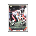 1993 Topps Keith Van Horne Bears #657