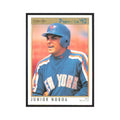 1992 O-Pee-Chee Premier Junior Noboa Mets #187