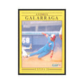 1991 Fleer Andres Galarraga Montreal Expos #232