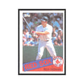 1985 Topps Rich Gedman Red Sox #529