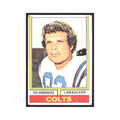 1974 Topps Ted Hendricks Baltimore Colts #385.0