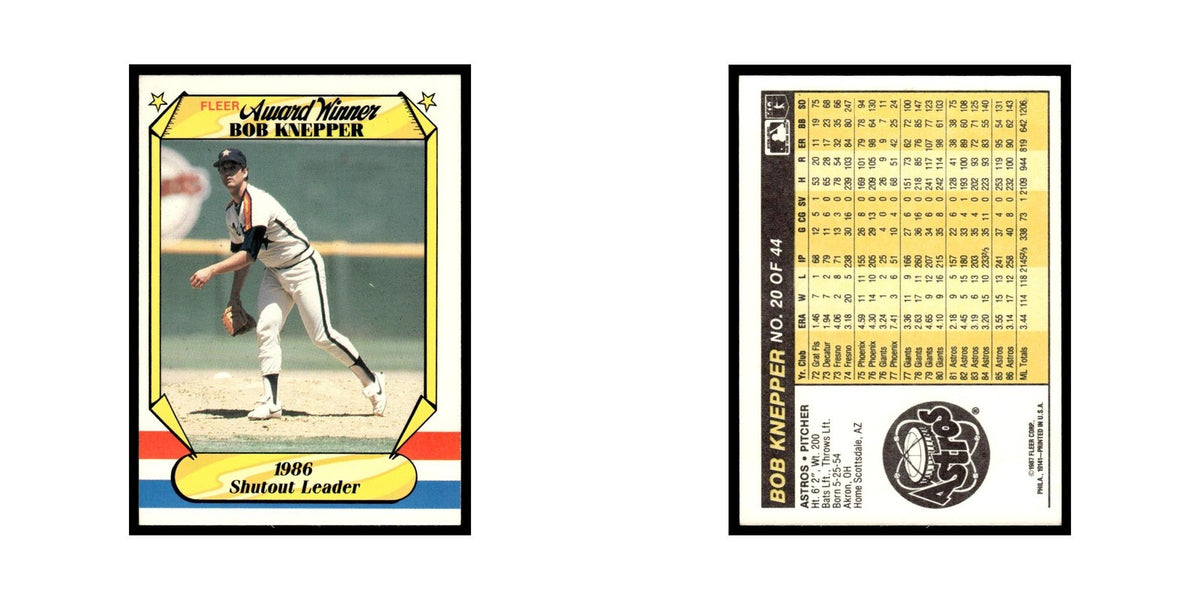 Bob Knepper 1987 Fleer Award Winners #20 Houston Astros Baseball Card NM