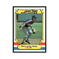 Scott Fletcher 1987 Fleer Award Winners #13 Texas Rangers Baseball Card NM