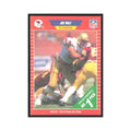 1989 Pro Set Joe Wolf Phoenix Cardinals #508
