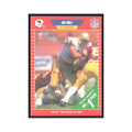1989 Pro Set Joe Wolf Phoenix Cardinals #508