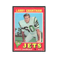 1971 Topps Larry Grantham Jets #228