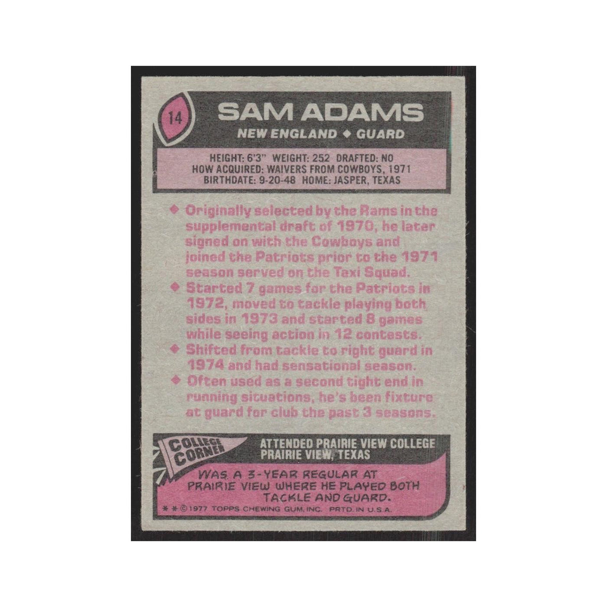 1977 Topps Sam Adams Patriots #14
