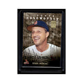Stan Musial 2001 Topps Noteworthy #TN48 St. Louis Cardinals Baseball Card NM