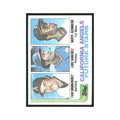 1982 Topps Brunansky/Sanchez/Sconiers #653