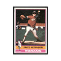 Fritz Peterson 1976 Topps #255 Cleveland Indians Baseball Card EX