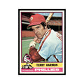 Terry Harmon 1976 Topps #247 Philadelphia Phillies Baseball Card EX