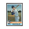 Fran Healy 1976 Topps #394 Kansas City Royals Baseball Card EX