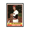 Jim Willoughby 1976 Topps #102 Boston Red Sox Baseball Card EX