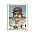 Mike Anderson 1976 Topps Traded #527T St. Louis Cardinals Baseball Card EX