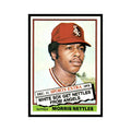Morris Nettles 1976 Topps Traded #434T Chicago White Sox Baseball Card EX