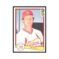 1982 Donruss Jim Kaat Cardinals #217