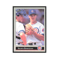 1992 Leaf Shawn Boskie Cubs #162.0